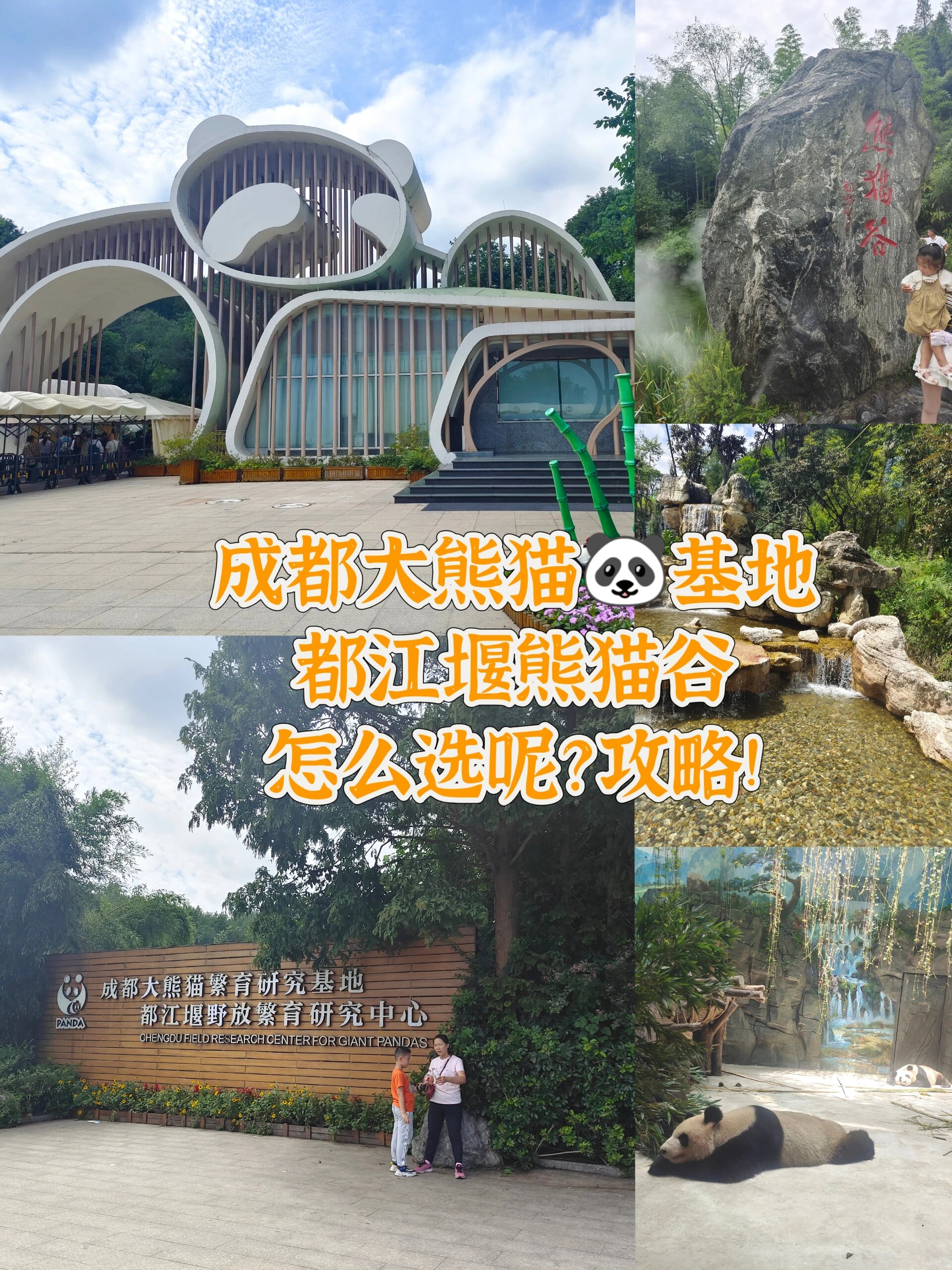 成都大熊猫基地旅游攻略/成都最建议去三个地方-第2张图片