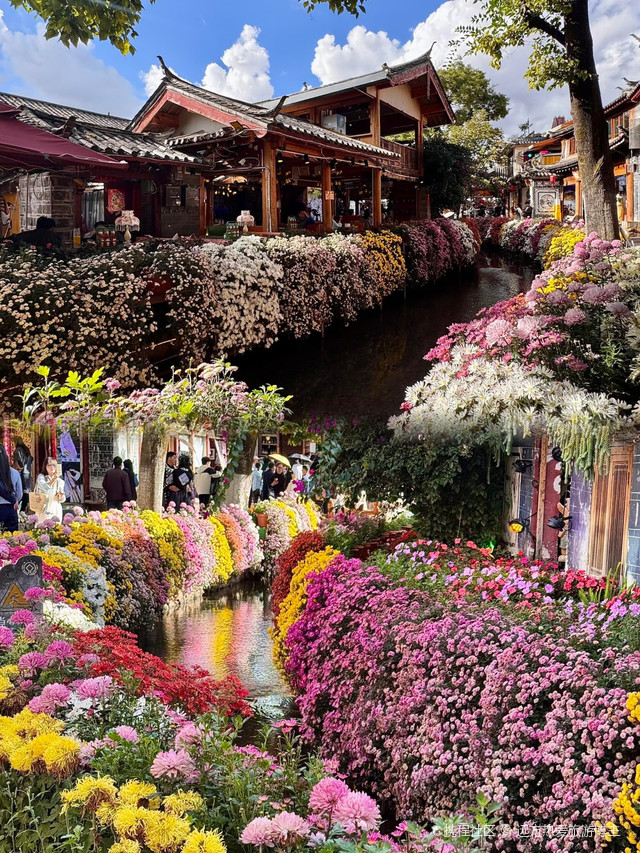 云南丽江旅游景点(云南丽江旅游景点推荐)-第2张图片