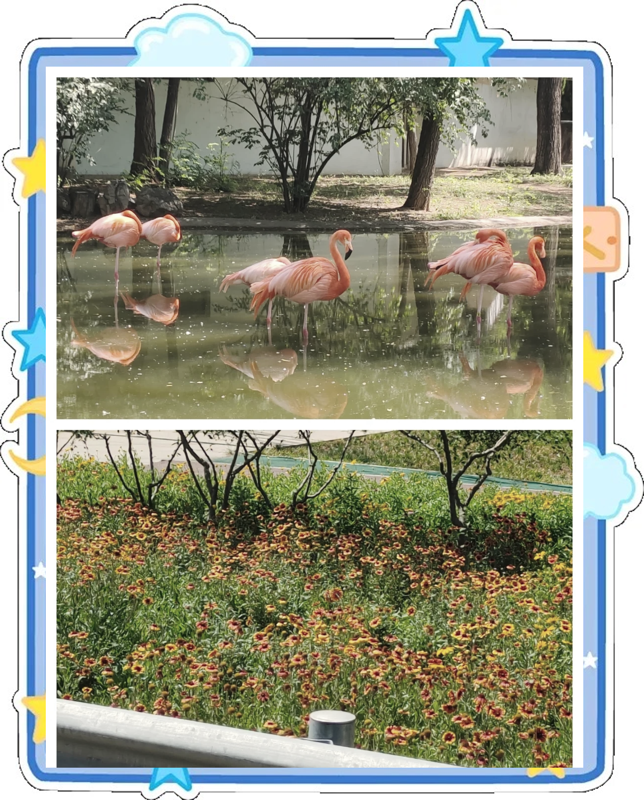 石家庄旅游攻略景点必去(石家庄旅游景点?)-第2张图片