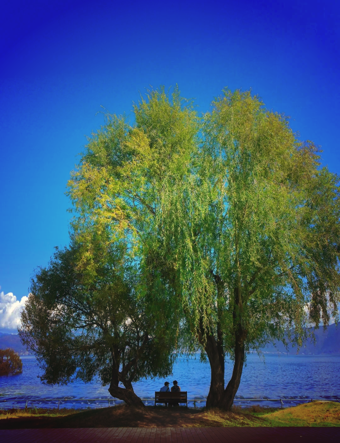 洱海在哪里/洱海在哪里属于哪个市-第1张图片