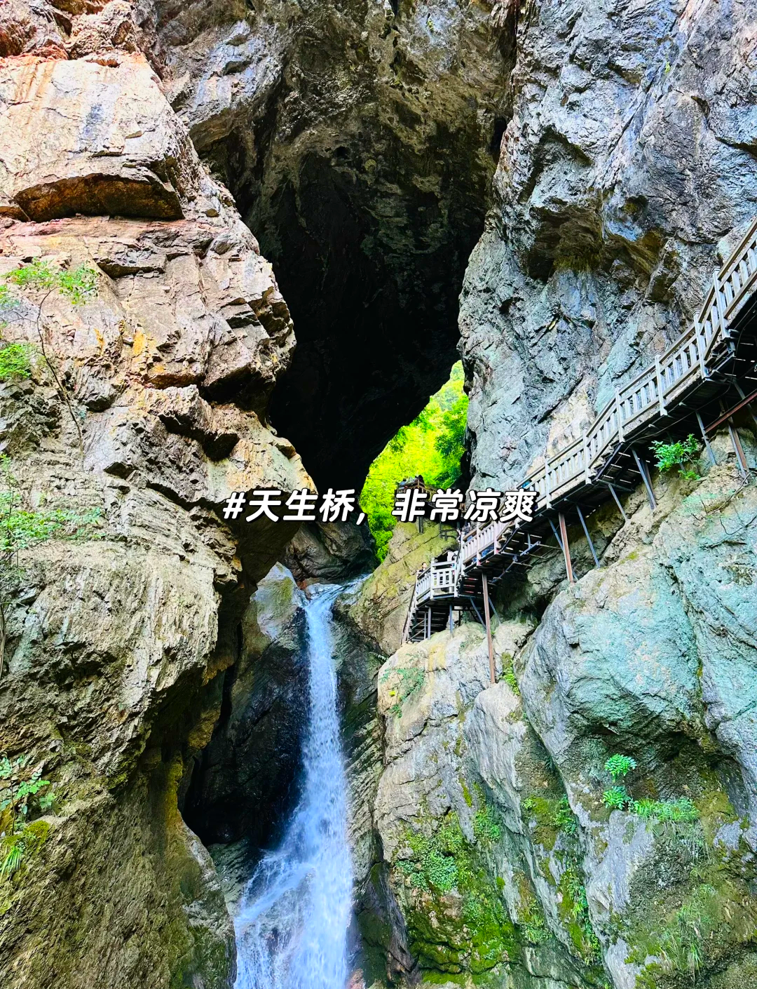 【神农架旅游攻略自由行路线,神农架一日游攻略】-第1张图片