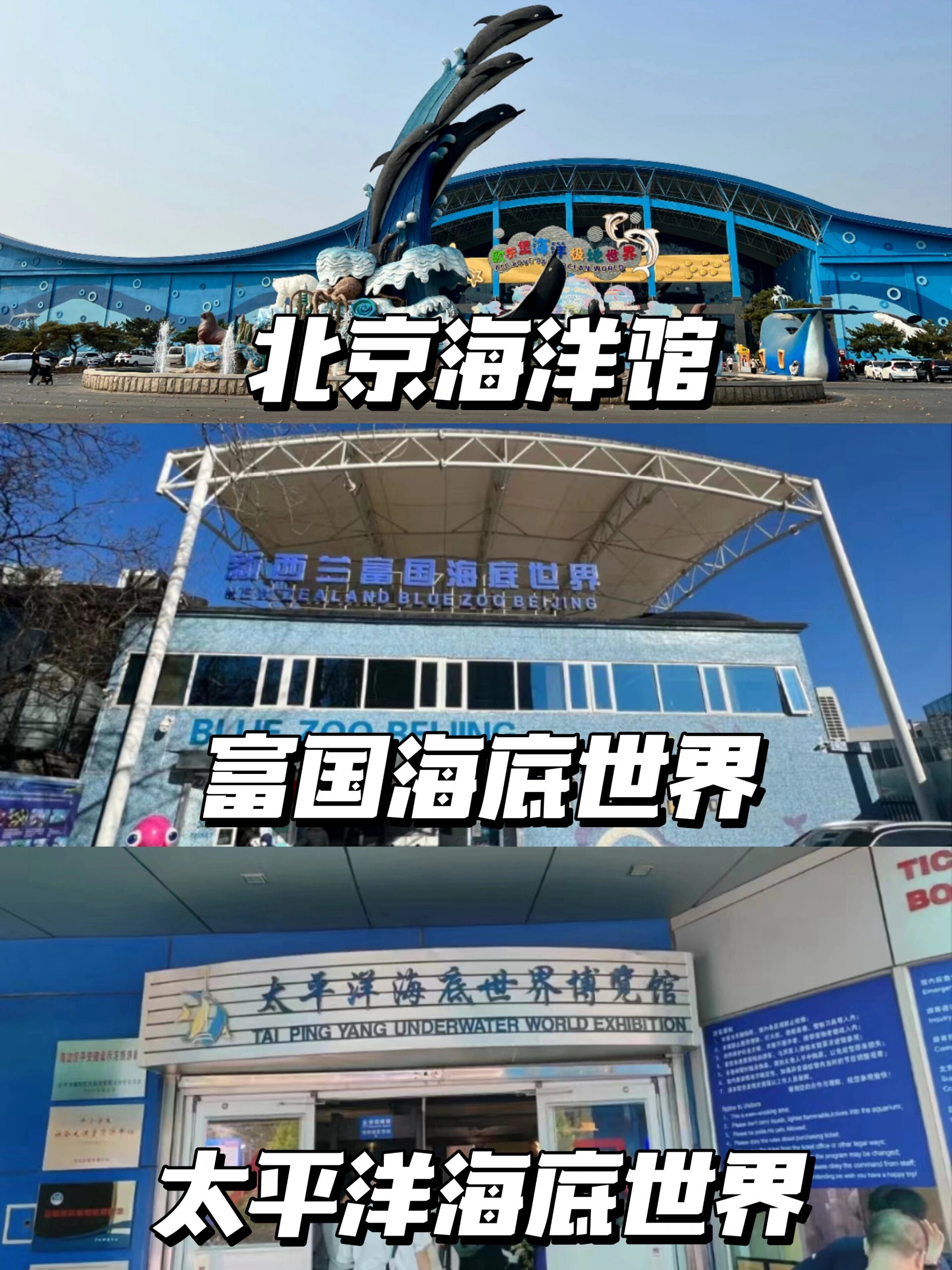 北京海洋馆图片/北京海洋馆-第1张图片