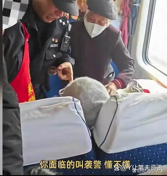 丹东回应父女看病袭警事件(辽宁丹东父亲)-第1张图片