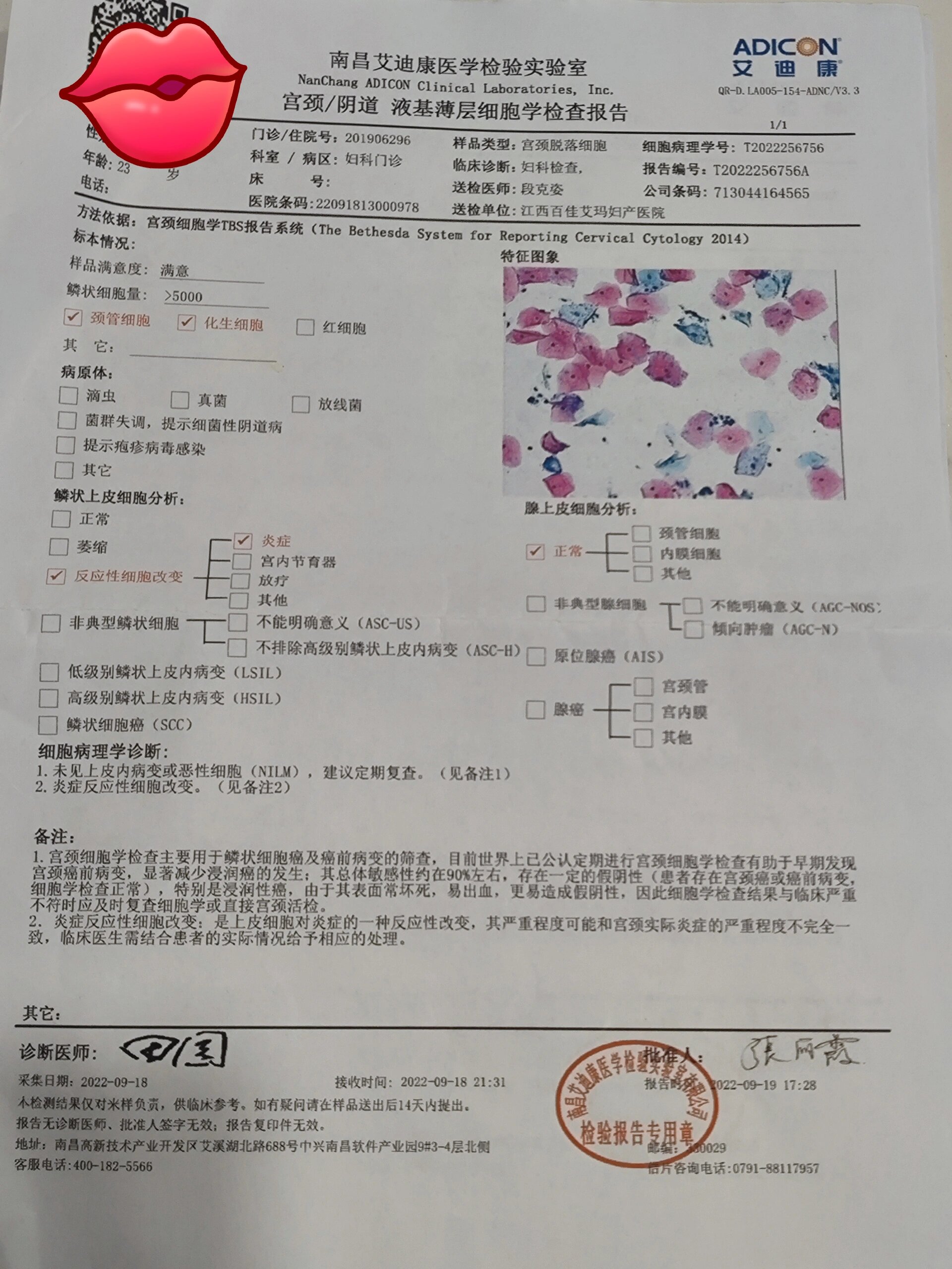 【石家庄检出30例阳性,石家庄检出阳性259人】-第3张图片