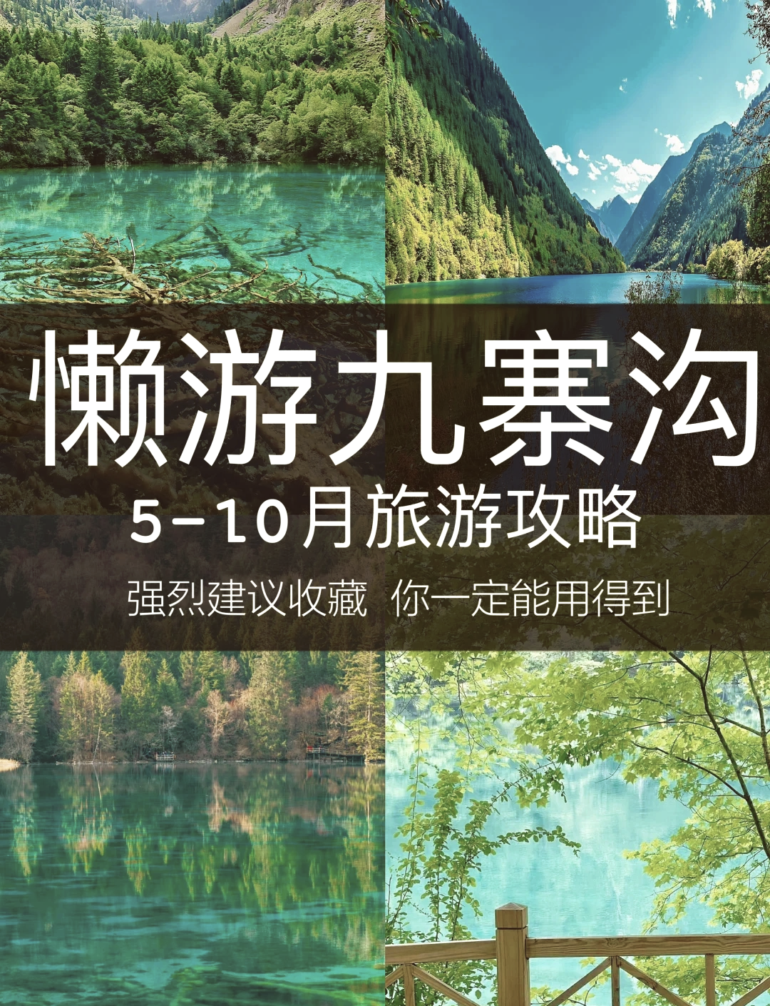 【九寨沟旅游攻略及费用,四川九寨沟旅游攻略及费用】-第1张图片