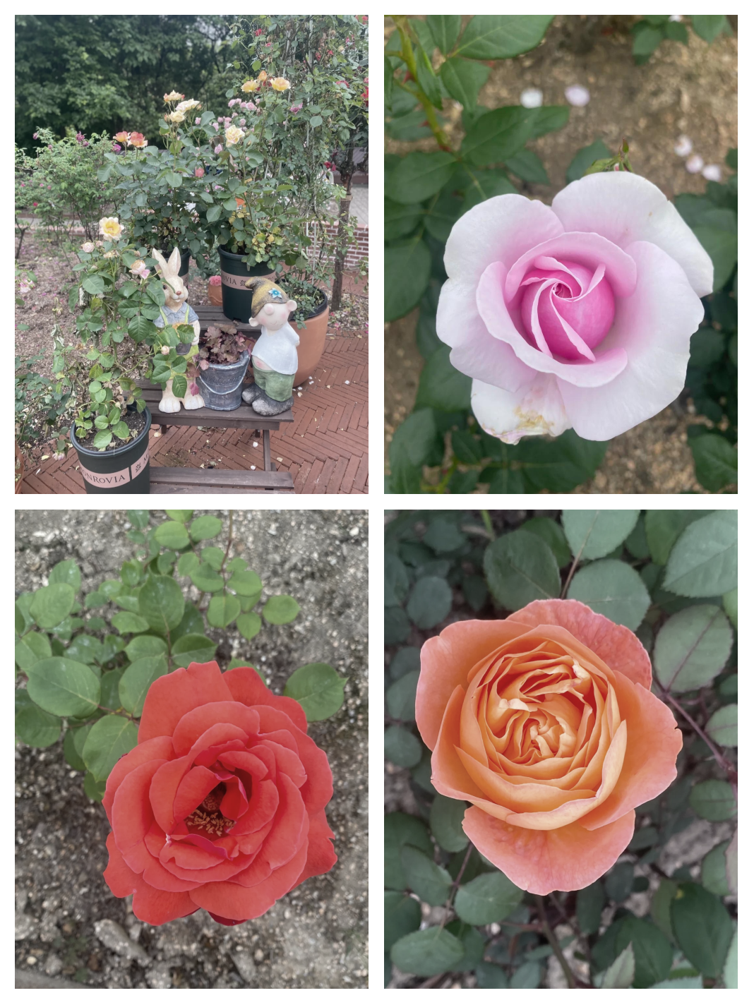 上海近郊一日游自驾(上海近郊游一日游)-第3张图片