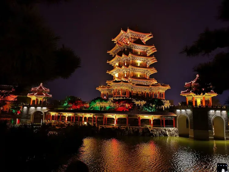 金马国旅(金马国旅倒闭了吗)-第3张图片