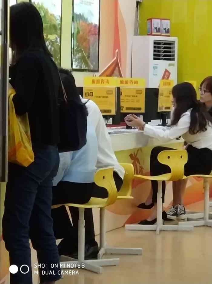 金马国旅(金马国旅倒闭了吗)-第2张图片