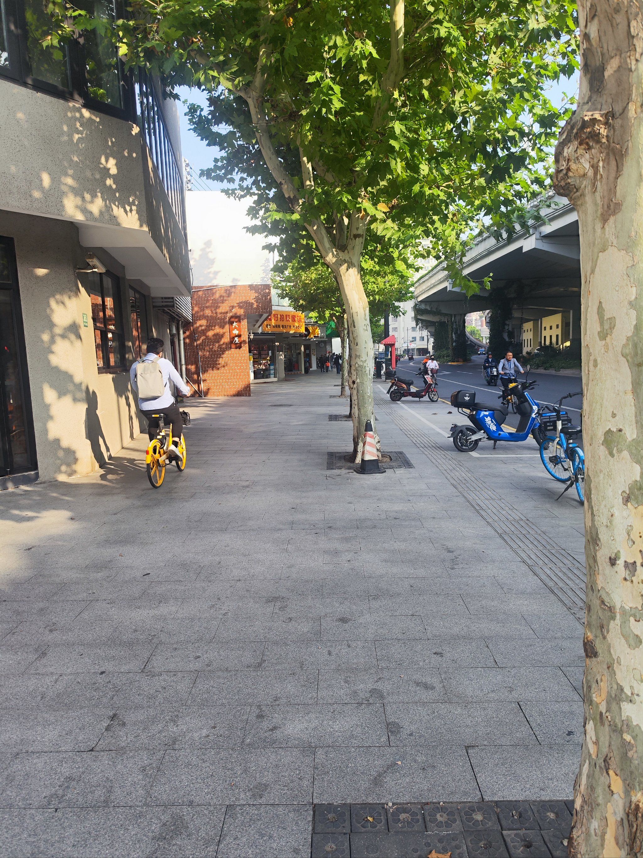 哈尔滨师范大学/哈尔滨师范大学马院-第2张图片